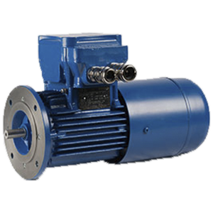 Motores eléctricos CEMP series HB HC IC411
