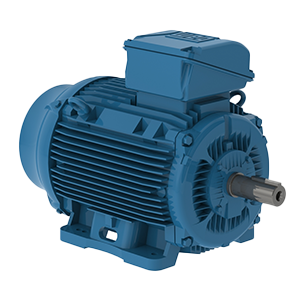 Motores WEG IEC áreas clasificadas seguridad aumentada ex eb Series W22Xe