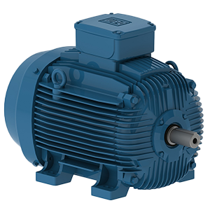 Motores WEG IEC áreas clasificadas de seguridad aumentada Series W21Xec EX ec