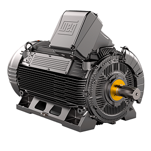 Motores WEG IEC áreas clasificadas de seguridad aumentada Series W23 Sync+ EX ec