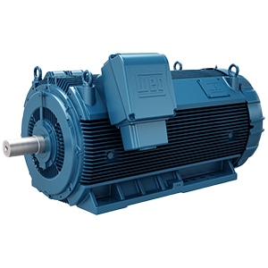 Motores WEG inducción media/alta tensión Serie Línea HGF