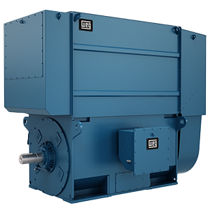Motores WEG inducción media/alta tensión Serie Línea Master