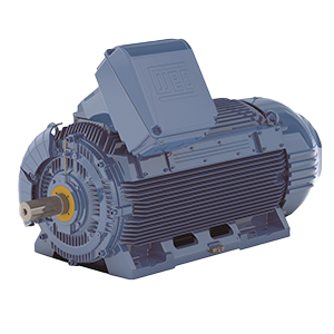 Motores WEG inducción media/alta tensión Serie W51HD