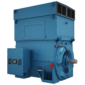 Motores WEG inducción media/alta tensión Serie W60